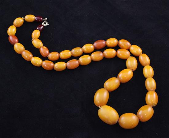 A single strand graduated amber oval bead necklace, 22in.